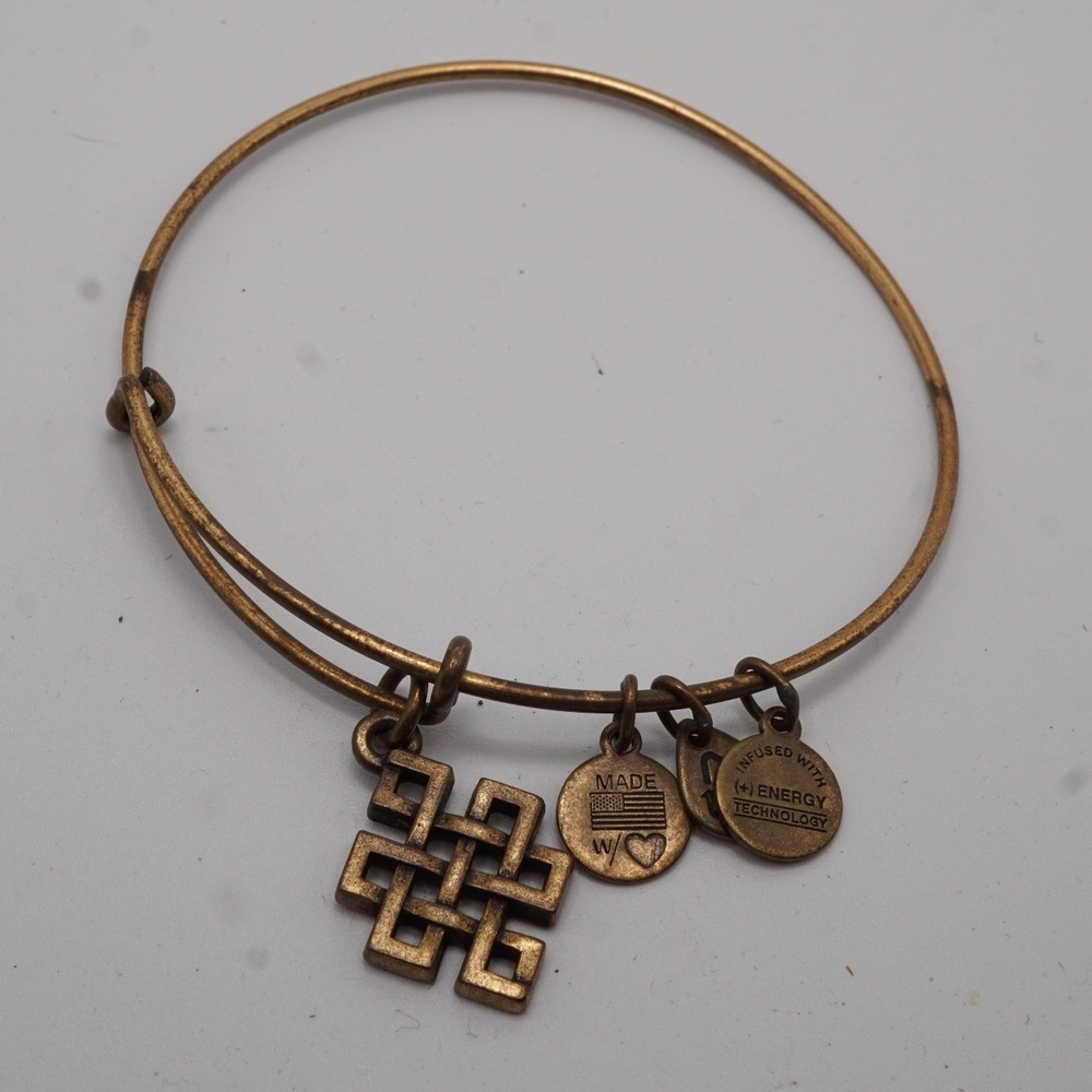 Alex and Ani Endless Knot Bangle Rafaelian Gold Expandable Bracelet